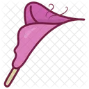 Calla Lilly Icon