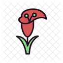 Calla Plant  Icon