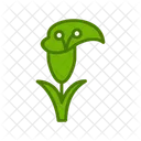 Calla Plant  Icon