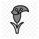 Calla Plant  Symbol