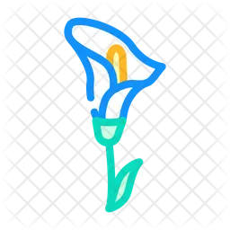 Callaflowwer  Icon