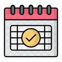 Calendar Check Date Icon