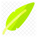 Calligraphy  Icon
