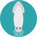 Calmar Poisson Sealife Icon