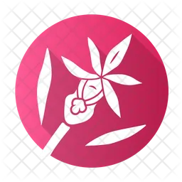 Calypso Orchid  Icon