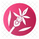 Calypso-Orchidee  Symbol