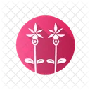 Calypso-Orchidee  Symbol