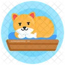 Cama para gatos  Icono