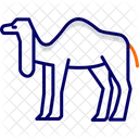 Camal  Icon