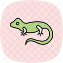 Camaleao Velado Camaleao Velado Reptil Ícone