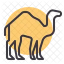 Camel Desert Animal Icon