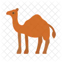 Animal Desert Wildlife Icon