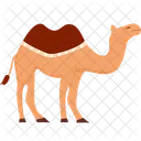 Camel Animal Desert Icon