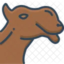 Camel Face Animal Icon