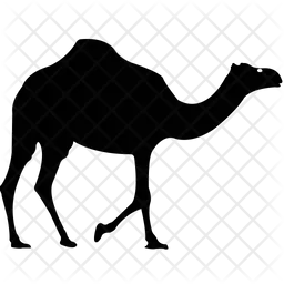 Camel  Icon
