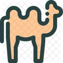 Camel Mamal Animal Icon