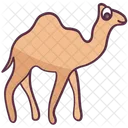 사막동물 낙타 초식동물 아이콘