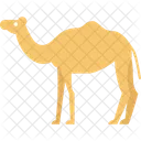 Camel Forest Mammal Icon