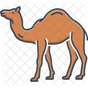 Camel Caravan Sand Icon