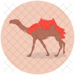 Camel  Icon