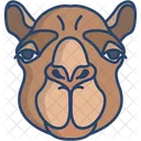 Camel Icon