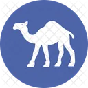 Camel Desert Camel Gulf Animal Icon