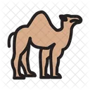 Camel Dessert Animal Icon
