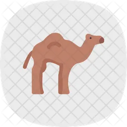 Camel  Icon