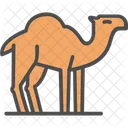 Camel Desert Animal Desert Icon