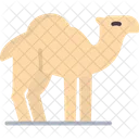 Camel Desert Animal Desert Icon