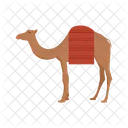 Camel Animal Wildlife Icon