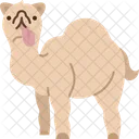 Camel Desert Mammal Icon