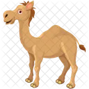 Camel Bactrian Animal Icon