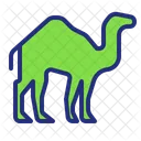 Camel Desert Animal Icon