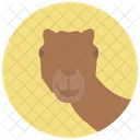 Camel Animal Icon