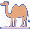 Camel  Icon