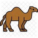 Camel Animal Desert Symbol
