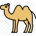 Camel Animal Desert Symbol