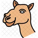 Camel Animal Bactrian Camel Icon