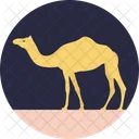 Camel Mammal Animal Icon