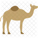 Camel  아이콘