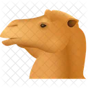 Camel Emoji Animal Mammal Icon