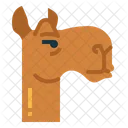 Camel Face  Icon