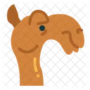 Camel Face  Icon