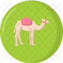 Camel Animal Desert Icon