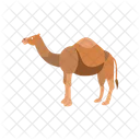 Camel  Icon