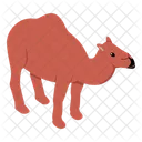 Camel  Icon