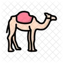 Camel Desert Animal Travel Icon