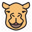 Camel Llama Animal Icon