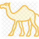 Camel Mammal Desert Icon